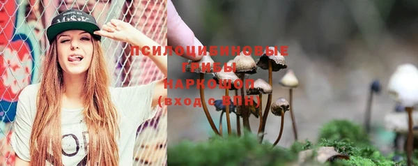 ALPHA PVP Бородино