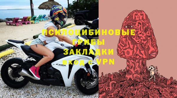 ALPHA PVP Бородино