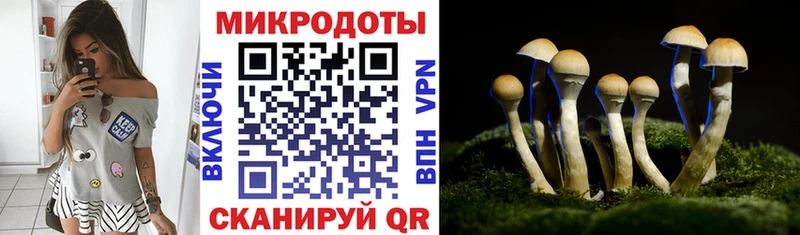 Галлюциногенные грибы мухоморы  Межгорье 
