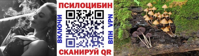 Галлюциногенные грибы Cubensis Межгорье